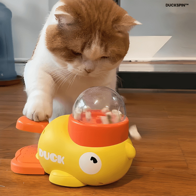 DuckSpin⢠š¾
