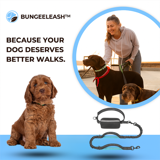 BungeeLeash™